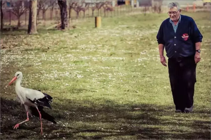 被誉为21世纪最奇葩的感情！让总统落泪，全世界头版头条给了他