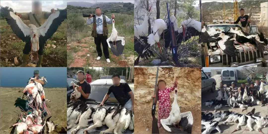 被誉为21世纪最奇葩的感情！让总统落泪，全世界头版头条给了他