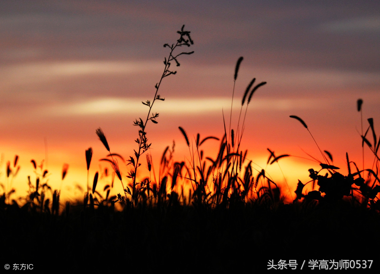 人教版小学语文三年级上册单元作文范文，值得学习借鉴！