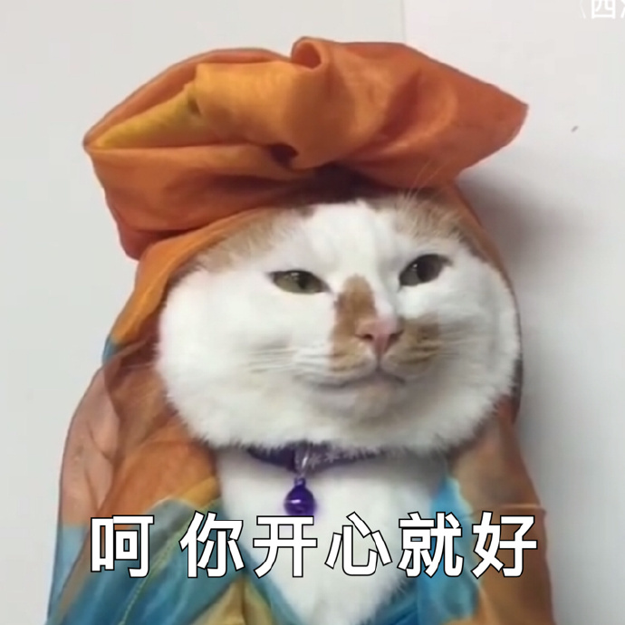 猫咪可爱表情包：小哥哥，网恋吗