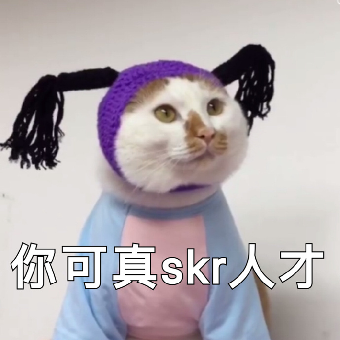 猫咪可爱表情包：小哥哥，网恋吗