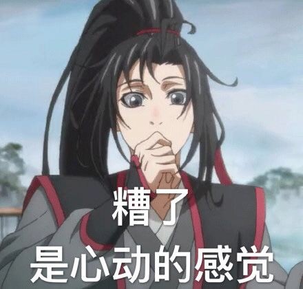 魔道祖师魏无羡搞笑表情包15张