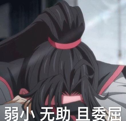 魔道祖师魏无羡搞笑表情包15张