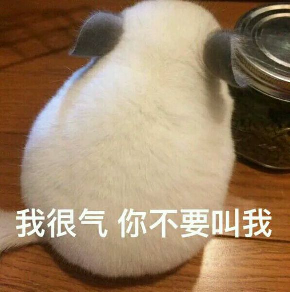 撩男朋友的猫咪表情包30张