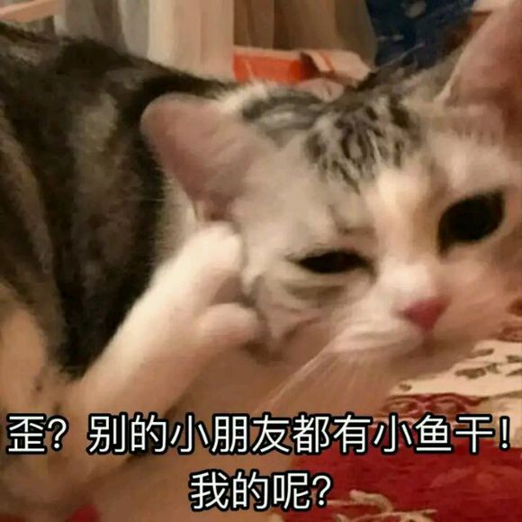 撩男朋友的猫咪表情包30张