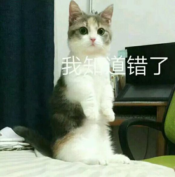 撩男朋友的猫咪表情包30张