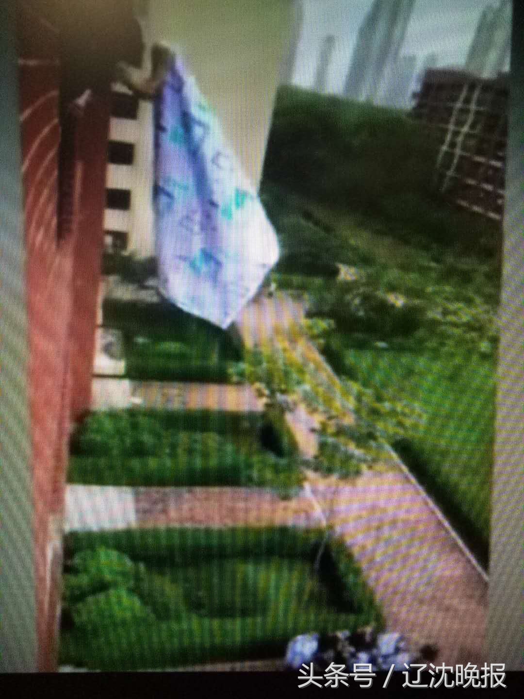 沈阳科技学院女生宿舍（新生军训被子未叠好）