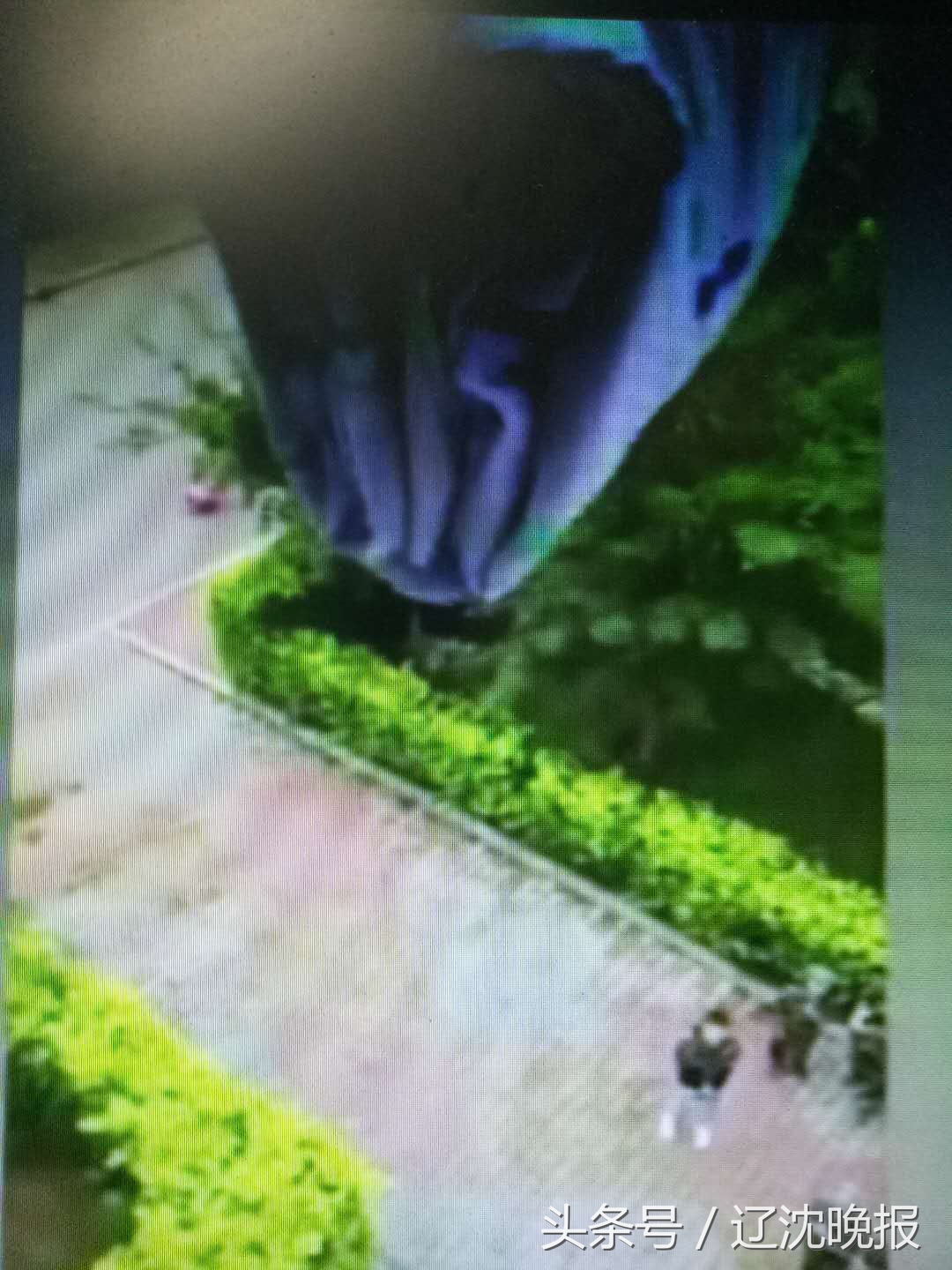 新生军训被子未叠好 被子被从楼上扔下 网友对此评价不一