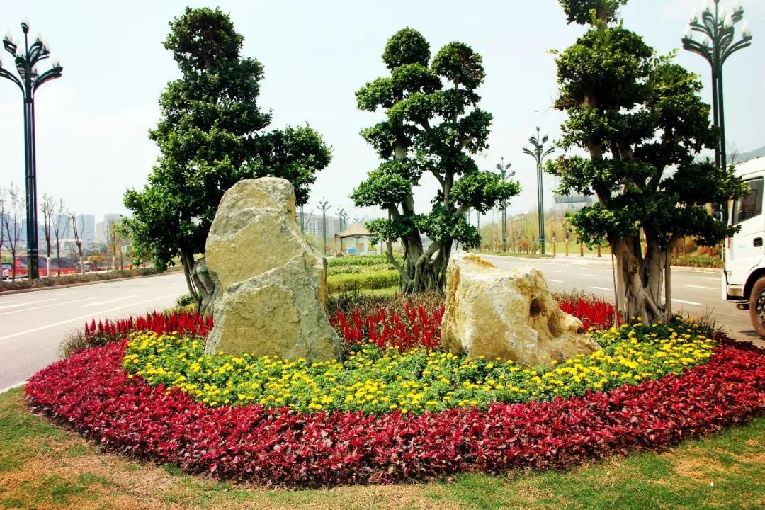 抢先看，西华大学宜宾研究院开学倒计时，校园美景都在这儿！