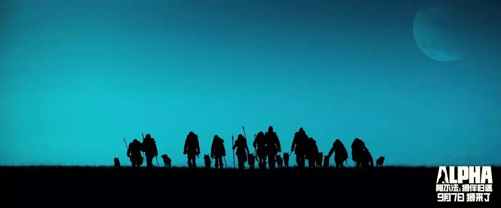 我不得不说九月新片屎很多