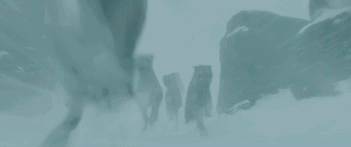 我不得不说九月新片屎很多