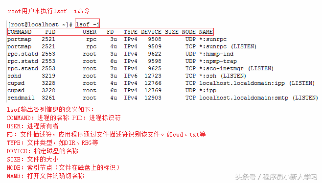 Linux 查看端口占用情况