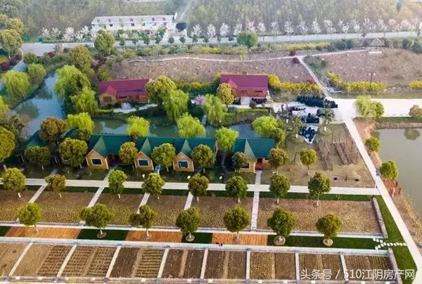 金顾山,红豆树,八大碗 不知不觉,顾山的房价已经走了一波行情