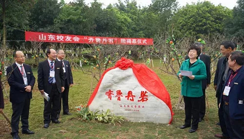 西南政法大学的43处校友捐赠景观背后，是很多深情温暖的景观故事