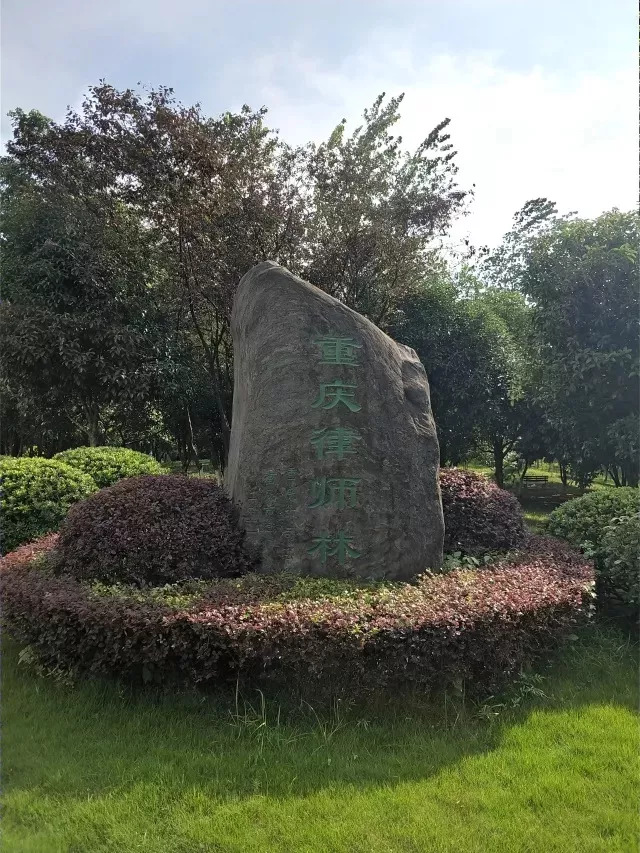 西南政法大学的43处校友捐赠景观背后，是很多深情温暖的景观故事