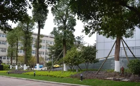 西南政法大学的43处校友捐赠景观背后，是很多深情温暖的景观故事