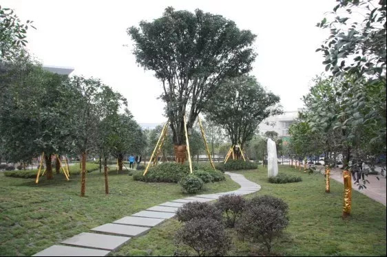 西南政法大学的43处校友捐赠景观背后，是很多深情温暖的景观故事