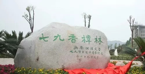 西南政法大学的43处校友捐赠景观背后，是很多深情温暖的景观故事