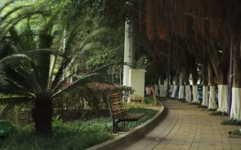 西南政法大学的43处校友捐赠景观背后，是很多深情温暖的景观故事