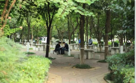 西南政法大学的43处校友捐赠景观背后，是很多深情温暖的景观故事