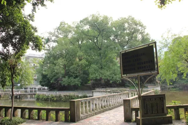 西南政法大学的43处校友捐赠景观背后，是很多深情温暖的景观故事