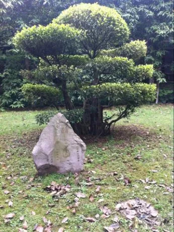 西南政法大学的43处校友捐赠景观背后，是很多深情温暖的景观故事