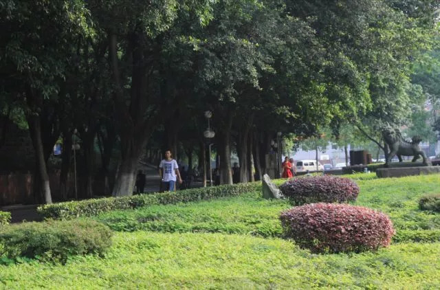 西南政法大学的43处校友捐赠景观背后，是很多深情温暖的景观故事