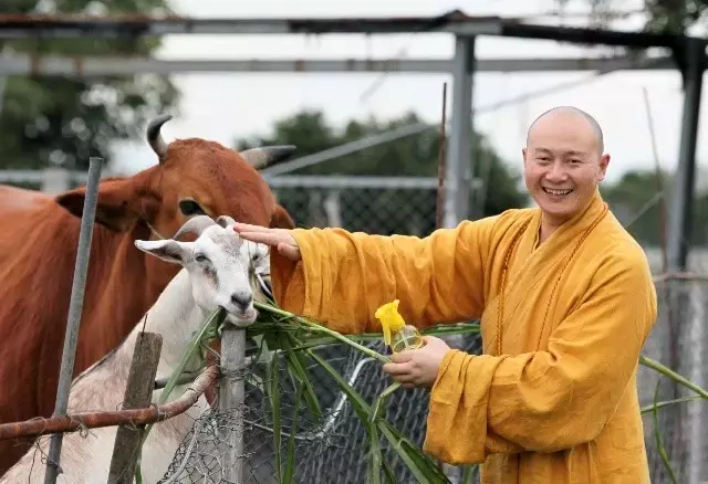 去菜市场偷偷做这些事，功德很大很大