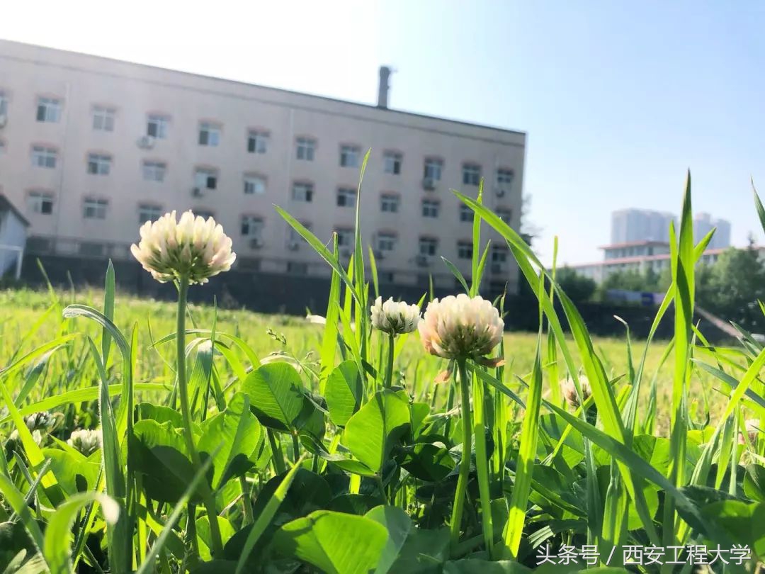 宿舍几人间？住宿费多少？有无地铁直达？2018级新生最佳“上位”攻略！