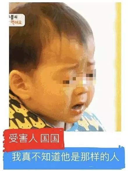 热门表情包精选30张：你别跟过来，我怕猪