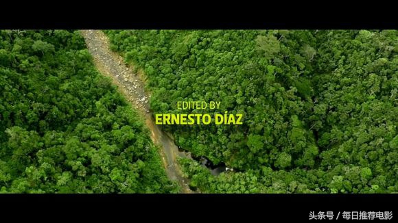 绿色地狱电影剧情「详细介绍」 _晶羽科技