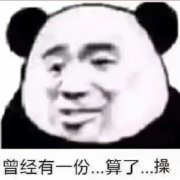 曾经有一份，算了