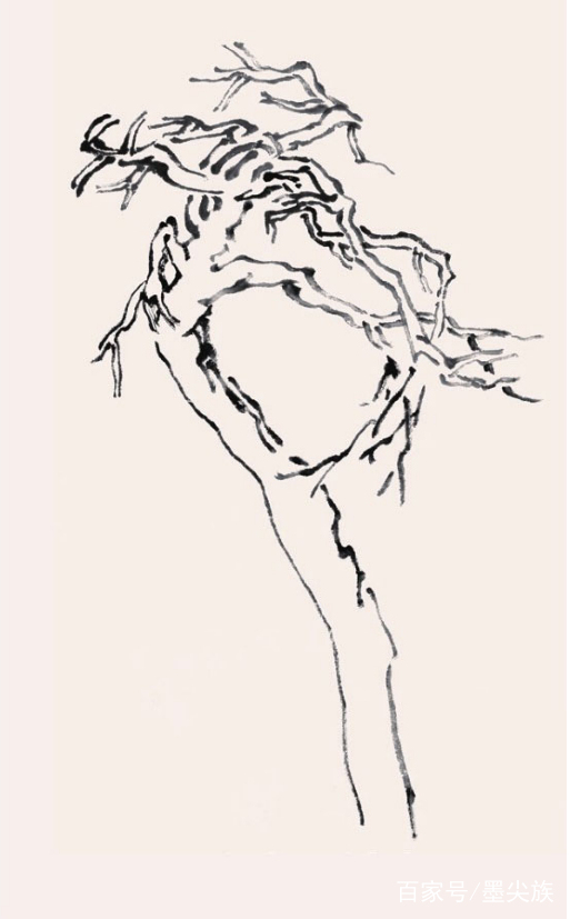 松树的简笔画法