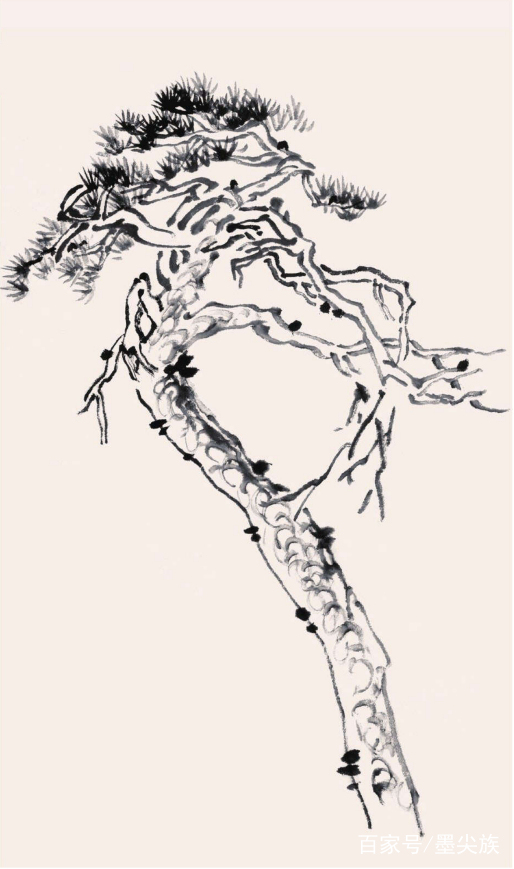 松树的简笔画法