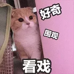 最近很火的40张猫咪表情包