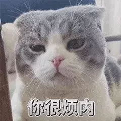 最近很火的40张猫咪表情包