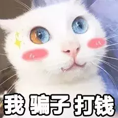 最近很火的40张猫咪表情包