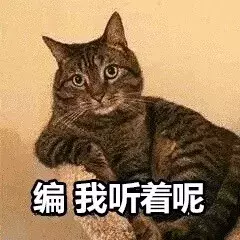 最近很火的40张猫咪表情包