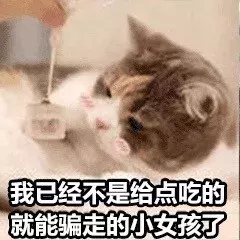 最近很火的40张猫咪表情包