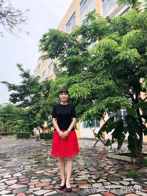 广西钦州农业学校陈新萍：情倾三尺讲台