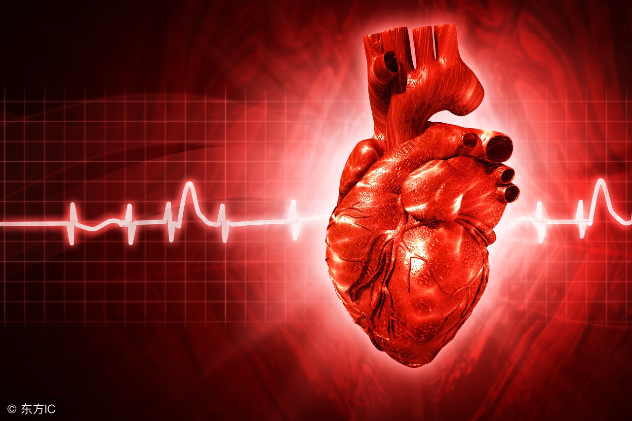 心血管王医生告诉您：心跳50和心跳120正常吗？