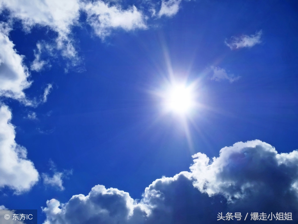 向日葵相同的日子向着太阳,寻求阳光……像向日葵相同的日子向着愿望