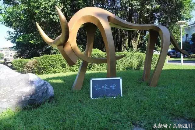 你期待的成都校园旅游指南来啦，往下看还有更多宿舍神器等你拿！