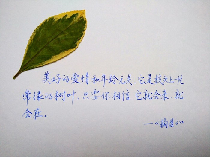 人生最美是秋季，择一处清静，携手诗韵，在文字中取暖