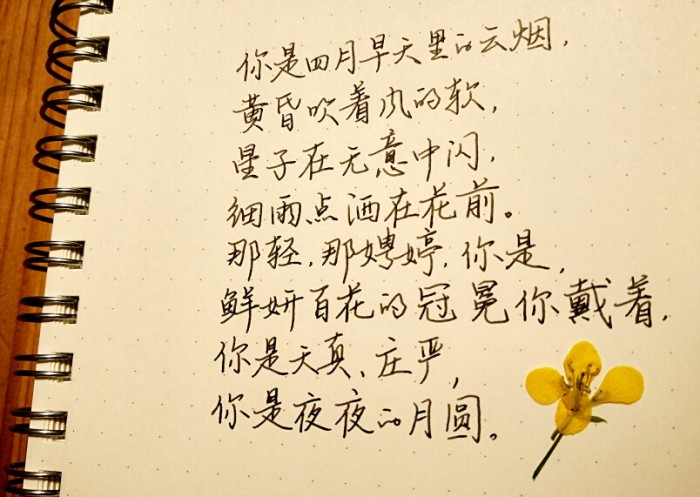 人生最美是秋季，择一处清静，携手诗韵，在文字中取暖