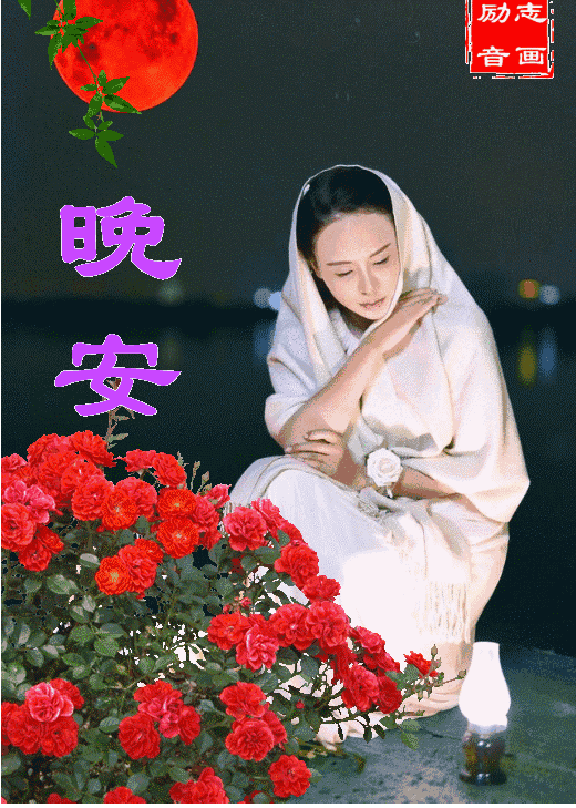 520_729竖版 竖屏gif 动态图 动图