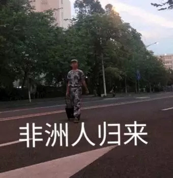 今日份搞笑表情包44张