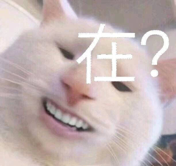 搞笑的猫咪表情包31张，拿去折腾男朋友吧