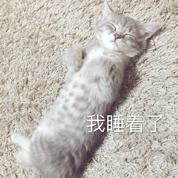 搞笑的猫咪表情包31张，拿去折腾男朋友吧