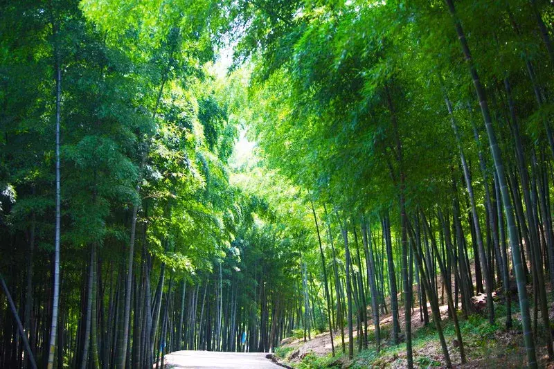天台7大最美古村落，在佛宗道源山水神秀处寻旧居